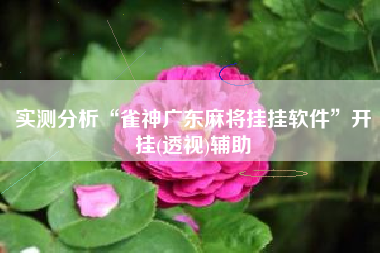 实测分析“雀神广东麻将挂挂软件”开挂(透视)辅助