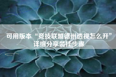可用版本“竞技联盟德州透视怎么开	”详细分享装挂步骤