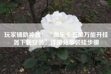 玩家辅助神器：“微乐卡五星万能开挂器下载安装”详细分享装挂步骤