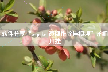 软件分享“wepoker透视作弊挂视频”详细开挂