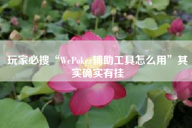 玩家必搜“WePoker辅助工具怎么用”其实确实有挂