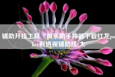 辅助开挂工具“微乐助手神器下载红龙poker有透视辅助挂(太