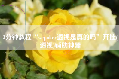 3分钟教程“wepoker透视是真的吗”开挂(透视)辅助神器