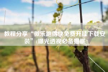 教程分享“微乐跑得快免费开挂下载安装”(曝光透视必备猫腻