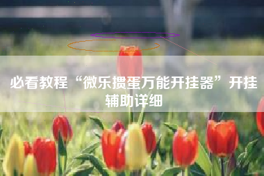 必看教程“微乐掼蛋万能开挂器”开挂辅助详细