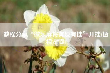 教程分享“微乐麻将有没有挂”开挂(透视)辅助