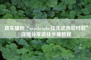 真实辅助“wepokerplus挂先试用后付款	”详细分享装挂步骤教程
