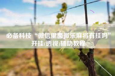 必备科技“微信里面微乐麻将有挂吗”开挂(透视)辅助教程