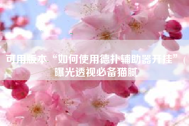 可用版本“如何使用德扑辅助器开挂	”(曝光透视必备猫腻