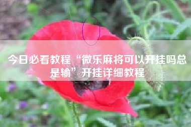 今日必看教程“微乐麻将可以开挂吗总是输	”开挂详细教程