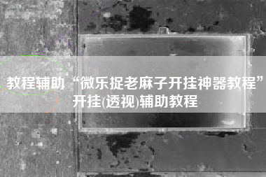 教程辅助“微乐捉老麻子开挂神器教程	”开挂(透视)辅助教程