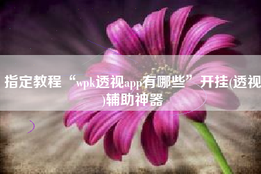 指定教程“wpk透视app有哪些”开挂(透视)辅助神器 指定教程“wpk透视app有哪些”开挂(透视)辅助神器