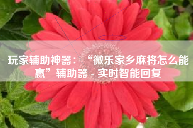 玩家辅助神器：“微乐家乡麻将怎么能赢	”辅助器 - 实时智能回复