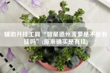 辅助开挂工具“智星德州菠萝是不是有挂吗”(原来确实是有挂)