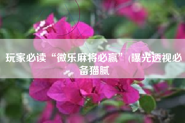 玩家必读“微乐麻将必赢”(曝光透视必备猫腻