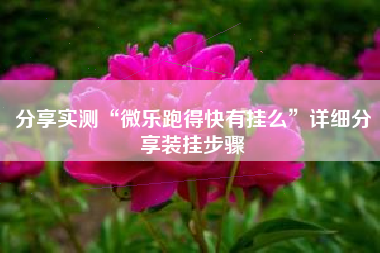 分享实测“微乐跑得快有挂么”详细分享装挂步骤