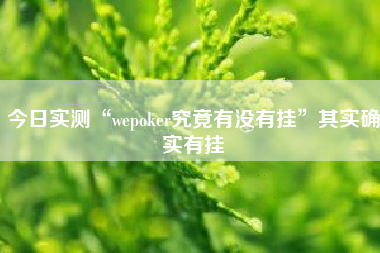 今日实测“wepoker究竟有没有挂”其实确实有挂