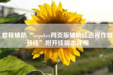 教程辅助“wepoker网页版辅助挂透视作弊开挂”附开挂脚本详细