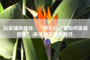 玩家辅助神器：“微乐过托管如何提高胜率”(原来确实是有插件)