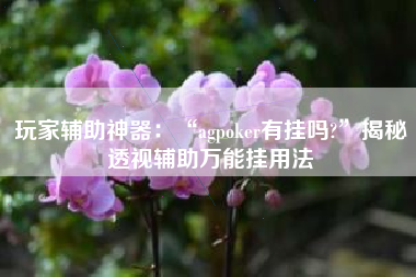 玩家辅助神器：“agpoker有挂吗?”揭秘透视辅助万能挂用法