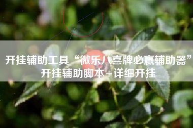 开挂辅助工具“微乐八喜牌必赢辅助器”开挂辅助脚本+详细开挂