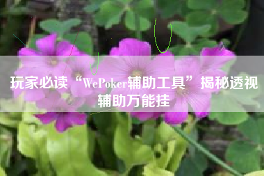玩家必读“WePoker辅助工具	”揭秘透视辅助万能挂