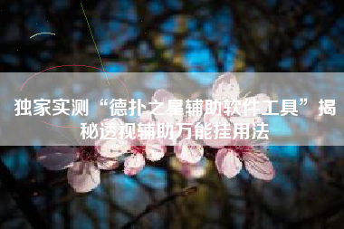 独家实测“德扑之星辅助软件工具”揭秘透视辅助万能挂用法