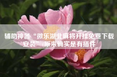 辅助神器“微乐湖北麻将开挂免费下载安装”(原来确实是有插件