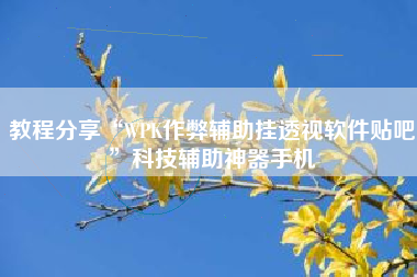 教程分享“WPK作弊辅助挂透视软件贴吧	”科技辅助神器手机