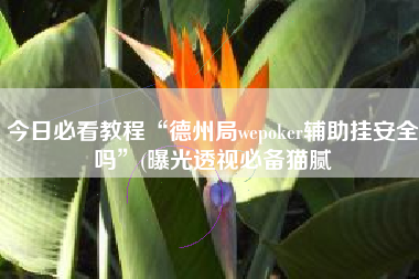 今日必看教程“德州局wepoker辅助挂安全吗	”(曝光透视必备猫腻