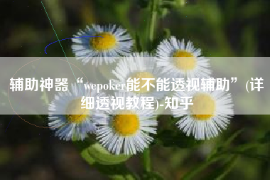 辅助神器“wepoker能不能透视辅助”(详细透视教程)-知乎