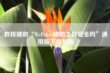 教程辅助“WePoker辅助工具安全吗	”通用版下载教程