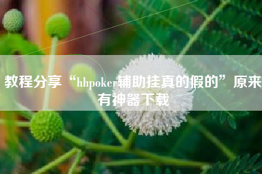 教程分享“hhpoker辅助挂真的假的”原来有神器下载