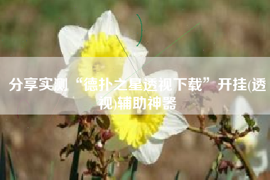 分享实测“德扑之星透视下载”开挂(透视)辅助神器