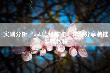 实测分析“wpk德州辅助	”详细分享装挂步骤教程