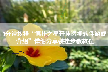 3分钟教程“德扑之星开挂透视软件游戏介绍	”详细分享装挂步骤教程