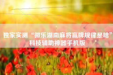 独家实测“微乐湖南麻将赢牌规律是啥”科技辅助神器手机版