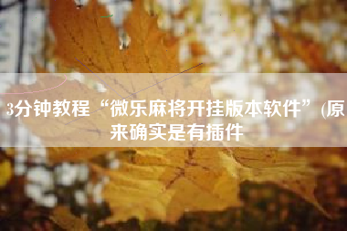 3分钟教程“微乐麻将开挂版本软件”(原来确实是有插件