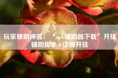 玩家辅助神器：“wpk辅助器下载”开挂辅助脚本+详细开挂