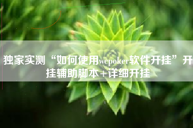 独家实测“如何使用wepoker软件开挂”开挂辅助脚本+详细开挂