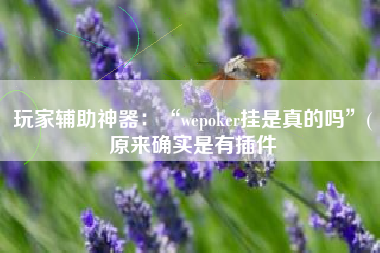 玩家辅助神器：“wepoker挂是真的吗”(原来确实是有插件