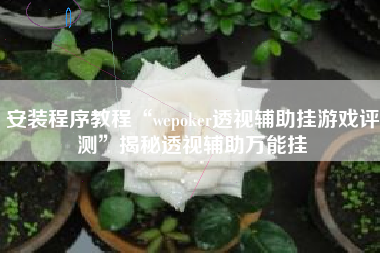 安装程序教程“wepoker透视辅助挂游戏评测”揭秘透视辅助万能挂