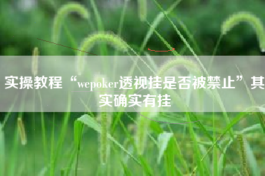 实操教程“wepoker透视挂是否被禁止”其实确实有挂