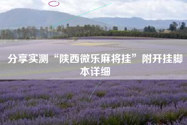 分享实测“陕西微乐麻将挂”附开挂脚本详细