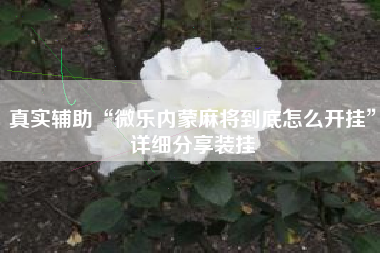 真实辅助“微乐内蒙麻将到底怎么开挂”详细分享装挂