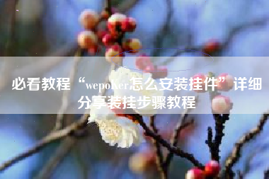 必看教程“wepoKer怎么安装挂件	”详细分享装挂步骤教程