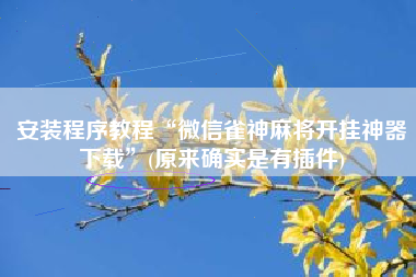 安装程序教程“微信雀神麻将开挂神器下载”(原来确实是有插件)