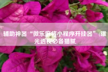 辅助神器“微乐麻将小程序开挂器”(曝光透视必备猫腻