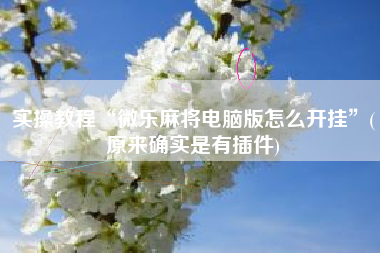 实操教程“微乐麻将电脑版怎么开挂”(原来确实是有插件)