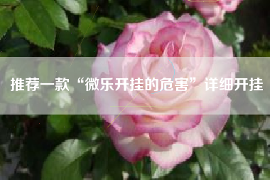 推荐一款“微乐开挂的危害”详细开挂